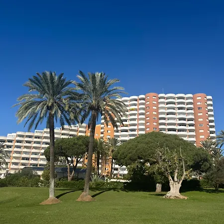 Casa Palmeras De
